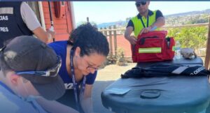 Funcionaria del Hospital integró Comisión de Servicio por incendios en el sur de Chile